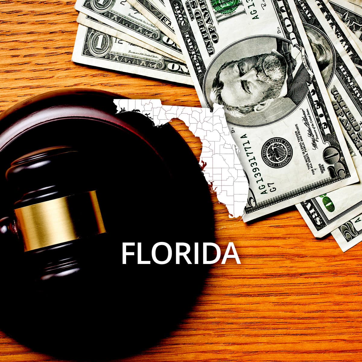 How to File Bankruptcy in Florida copy