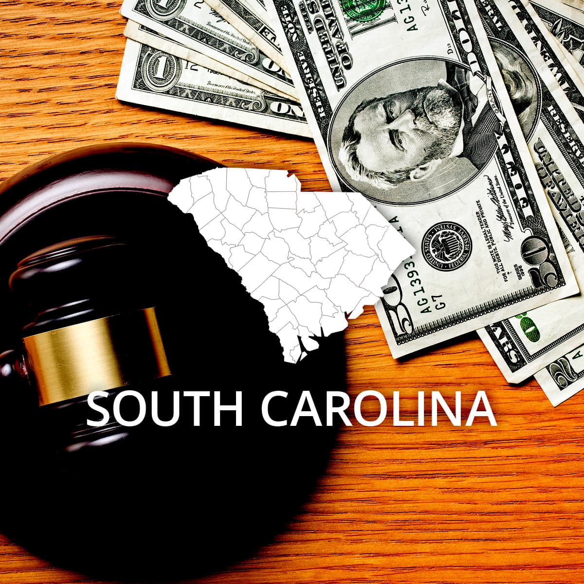 How to File Bankruptcy in South Carolina