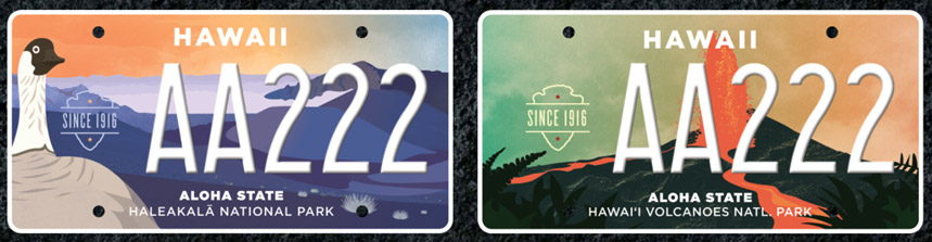 Personalized and Specialty License Plates