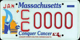 Standard License Plate - Passenger vehicles: