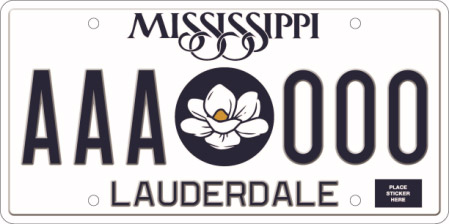 NASCAR&acirc;&bdquo;&cent; Driver license plates: