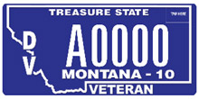 Veteran, Vintage, and Amateur Radio license plates: