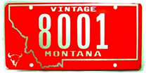 Veteran, Vintage, and Amateur Radio license plates: