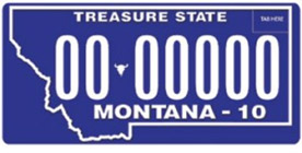 Veteran, Vintage, and Amateur Radio license plates: