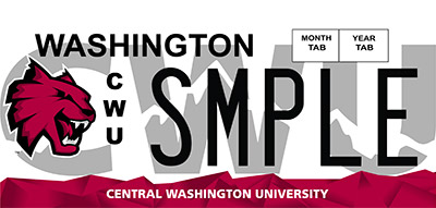 Special license plates